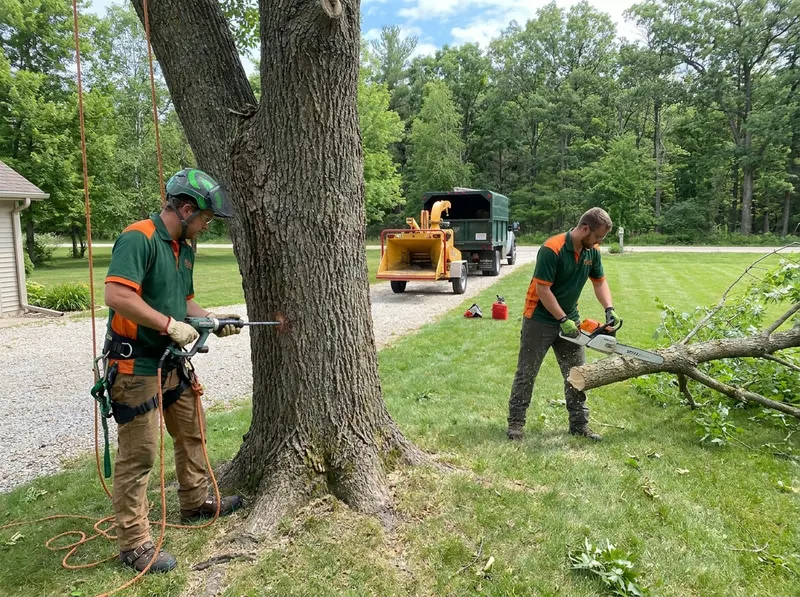 Emerald Ash Borer Treatment and Ash Removal in Chenequa, Wi